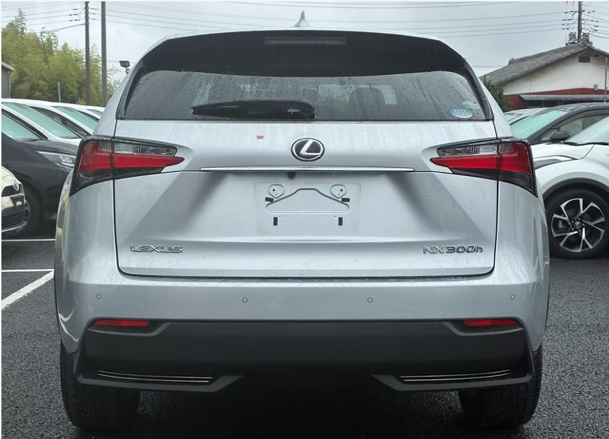 2015 LEXUS NX300H VERSION L photo 4