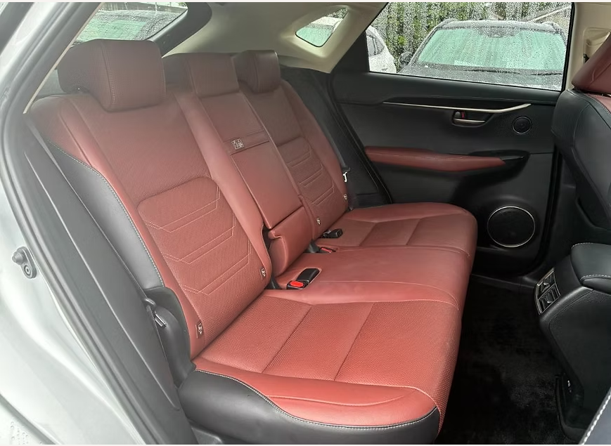 2015 LEXUS NX300H VERSION L photo 9